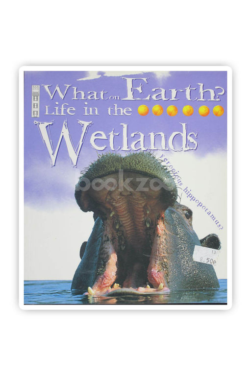 Life in the wetlands