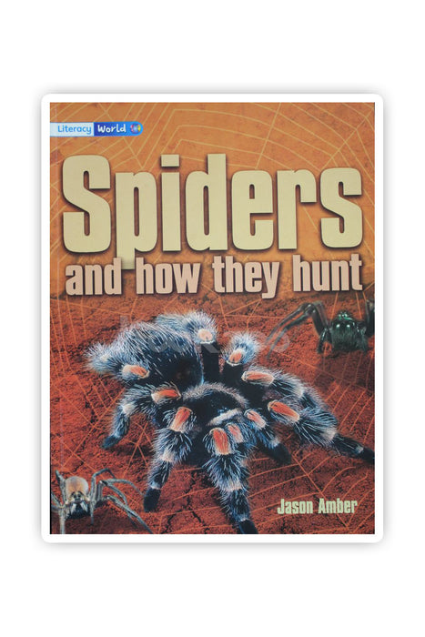  Spiders and how they hunt 