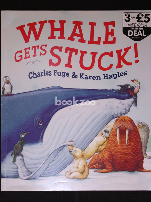 WHALE GETS STUCK!