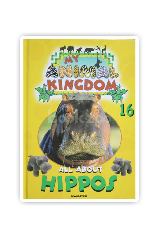 My Animal Kingdom All About Hippos