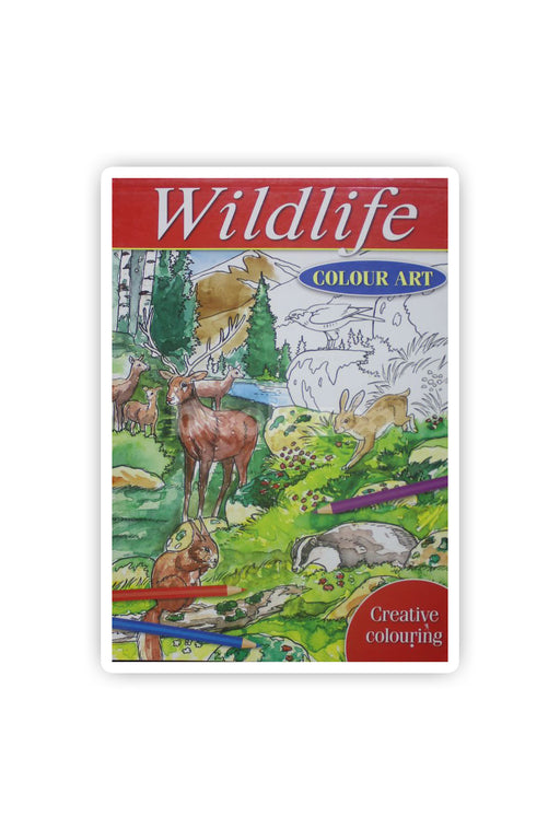 Wildlife-Colour art