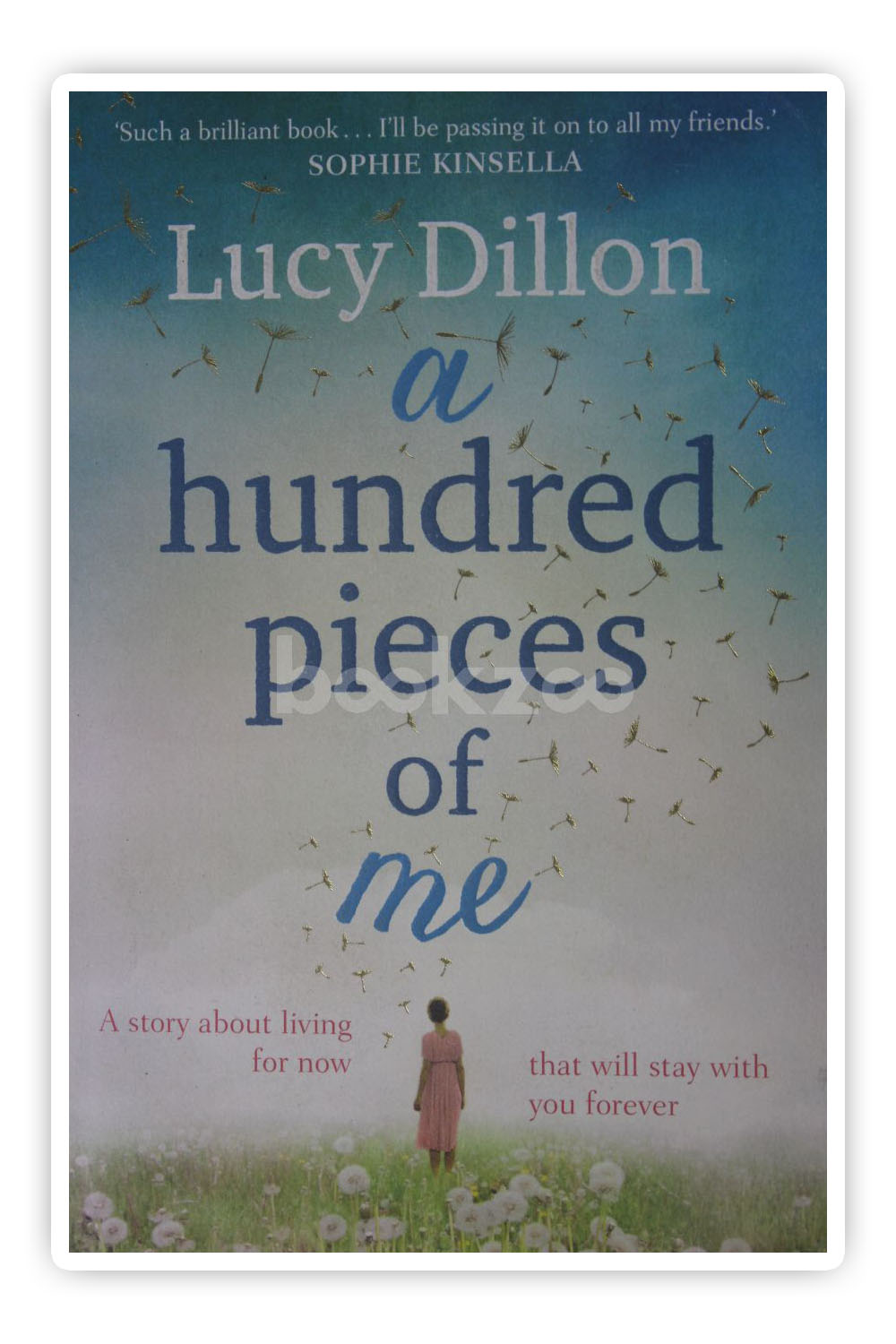 A Hundred Pieces of Me by Lucy Dillon