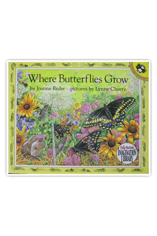 Where butterfly grows