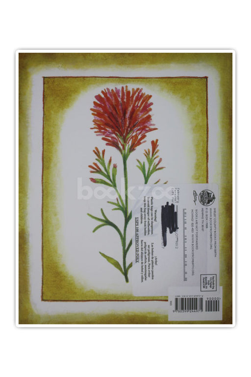 The legend of the indian paintbrush