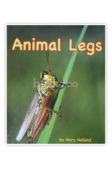 Animal Legs 