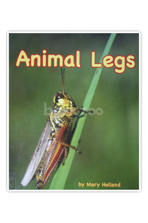 Animal Legs 