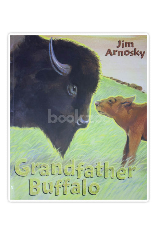 Grandfather Buffalo 