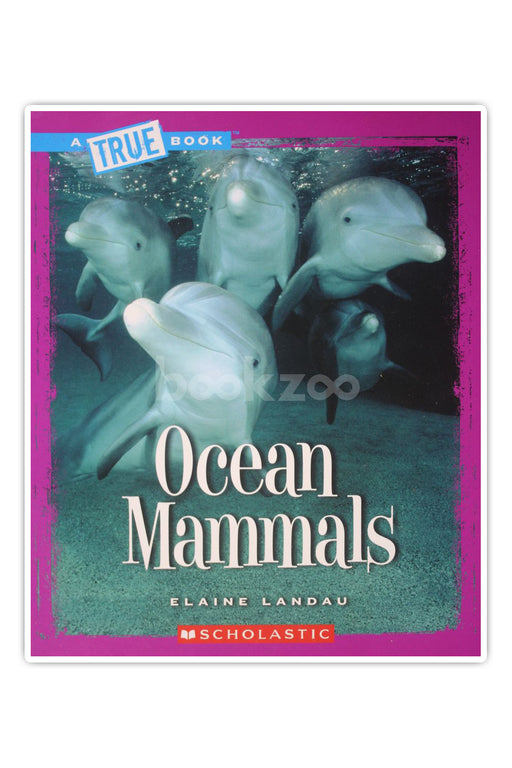Ocean Mammals