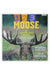 1, 2, 3 Moose: A Counting Book