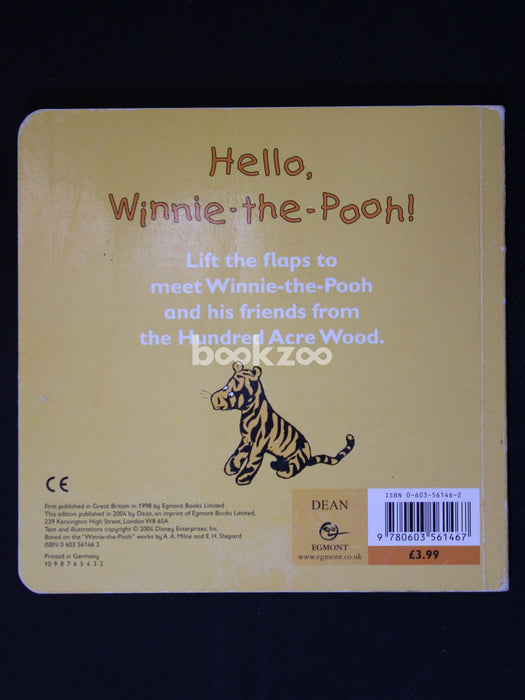 Hello Winnie the Pooh