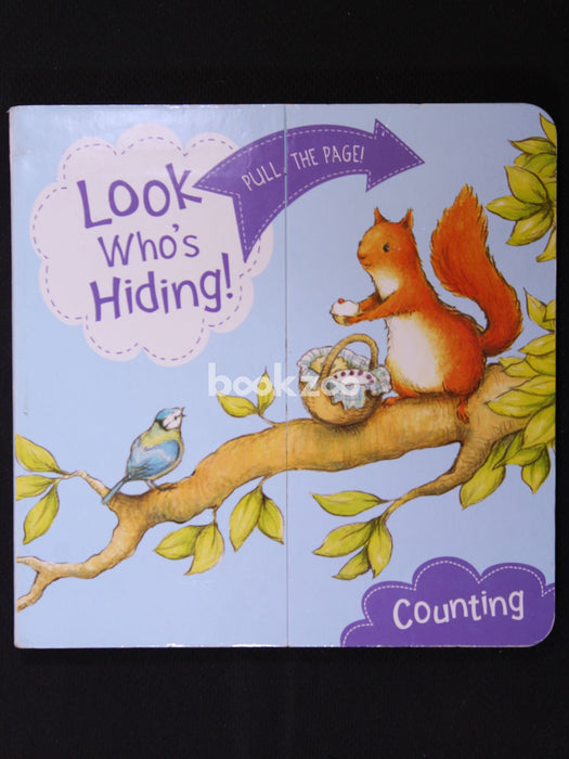 Look Who's Hiding: Counting