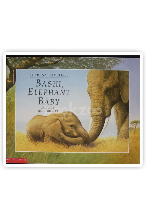 Bashi, elephant baby