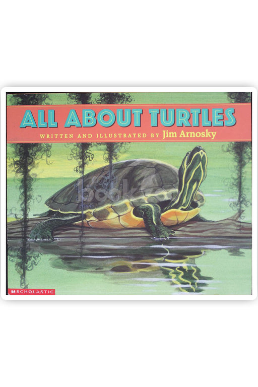 All about turtle