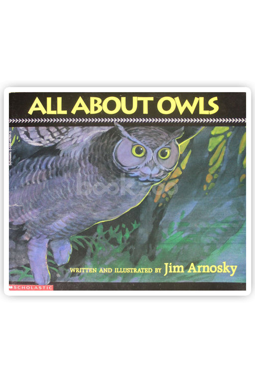 All about owls