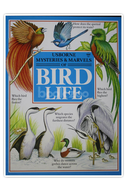 Mysteries and Marvels of Bird Life