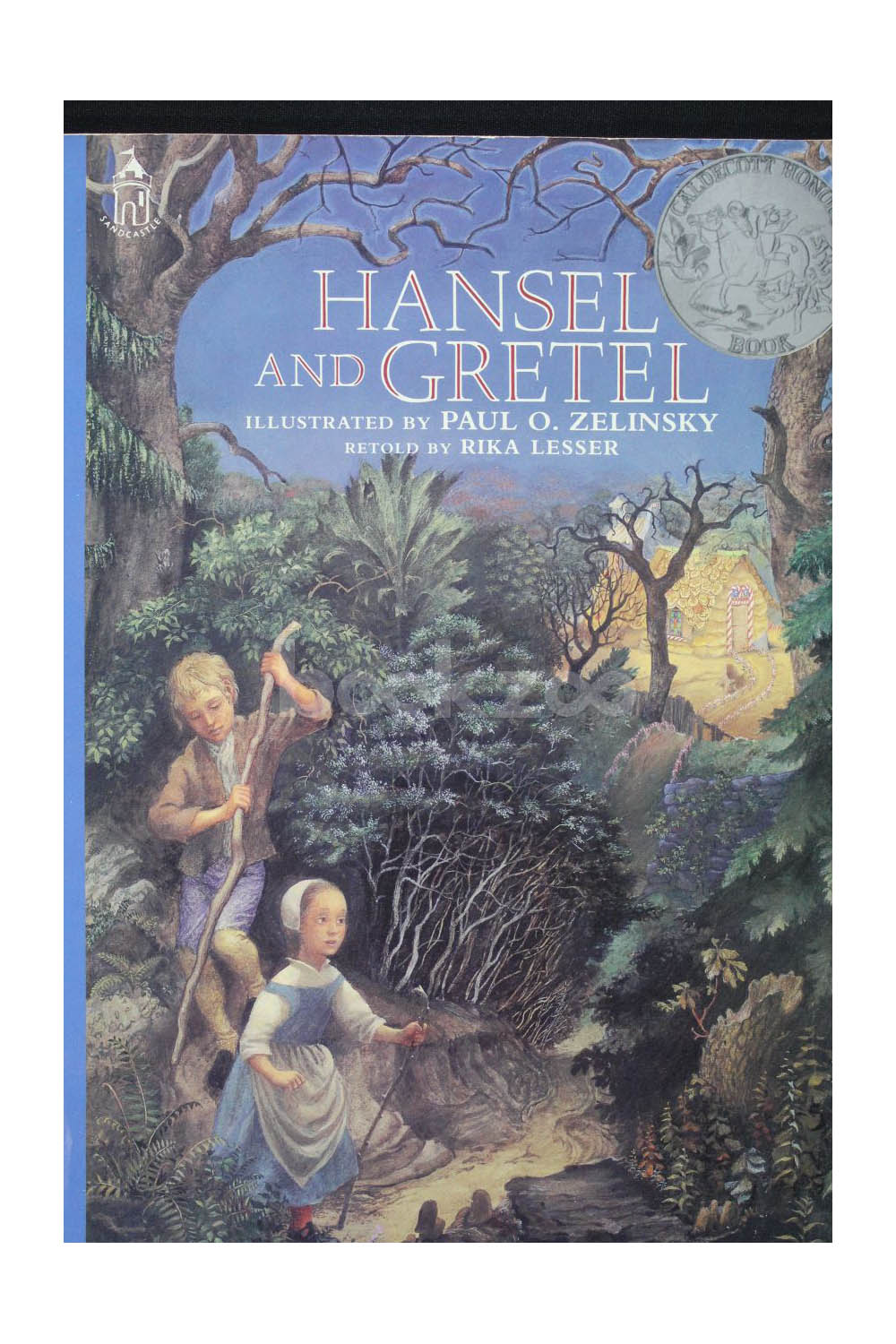 Buy Hansel and Gretel by Rika Lesser at Online bookstore bookzoo.in ...