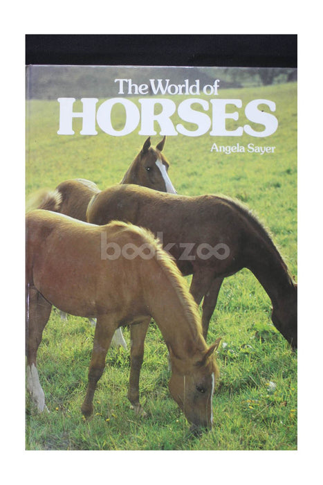 The World of Horses