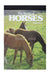 The World of Horses