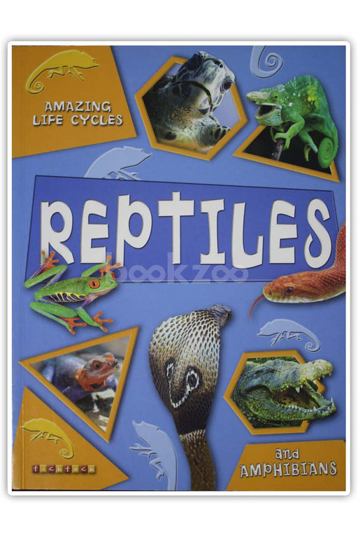 Amazing Life Cycles: Reptiles and Amphibians