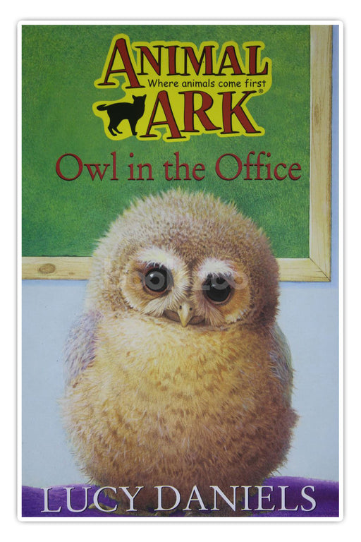 Owl in the Office