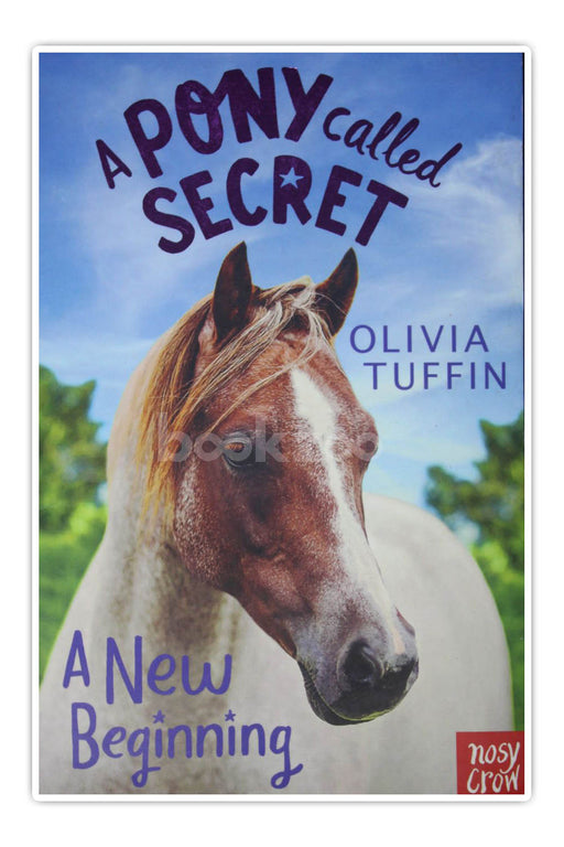 A Pony Called Secret : A New Beginning