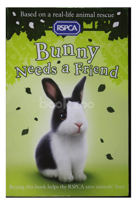 Bunny Needs a Friend