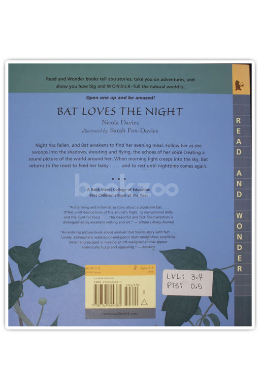 Bat Loves the Night