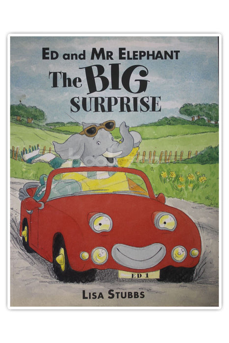 Ed and Mr Elephant: The Big Surprise