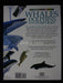 Whales Dolphins, and Porpoises