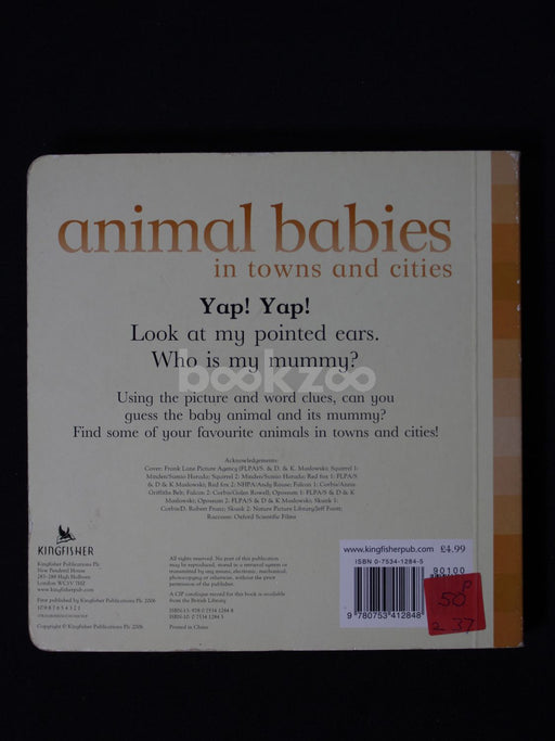Animal Babies in Towns and Cities