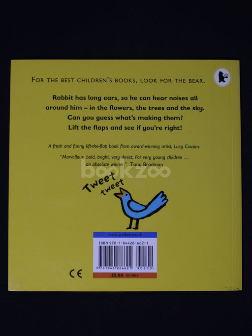 What Can Rabbit Hear? A lift-the-flap book