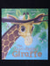 The Short Sighted Giraffe