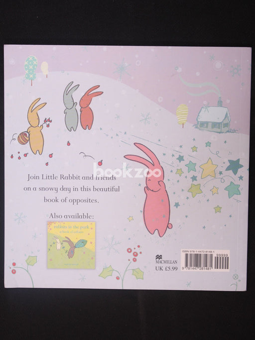 Rabbits in the snow a book of opposites