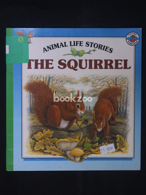 The Squirrel (Animal Life Stories)