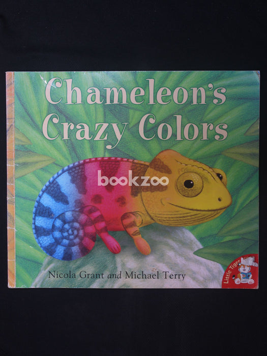 Chameleons Crazy Colours