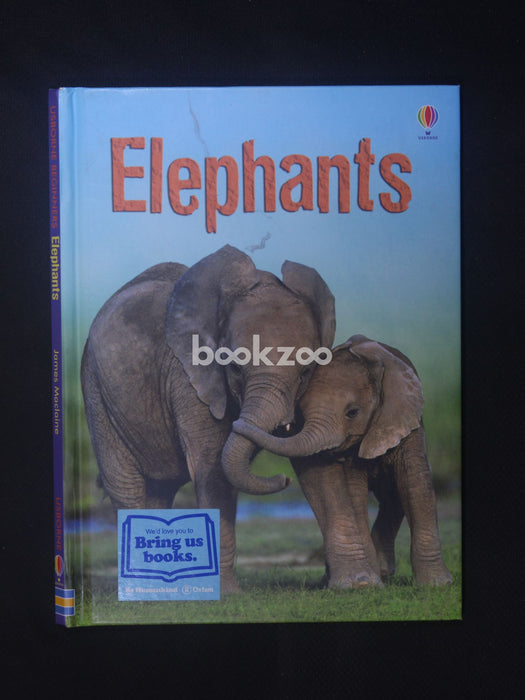 Elephants (Beginners)