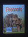 Elephants (Beginners)