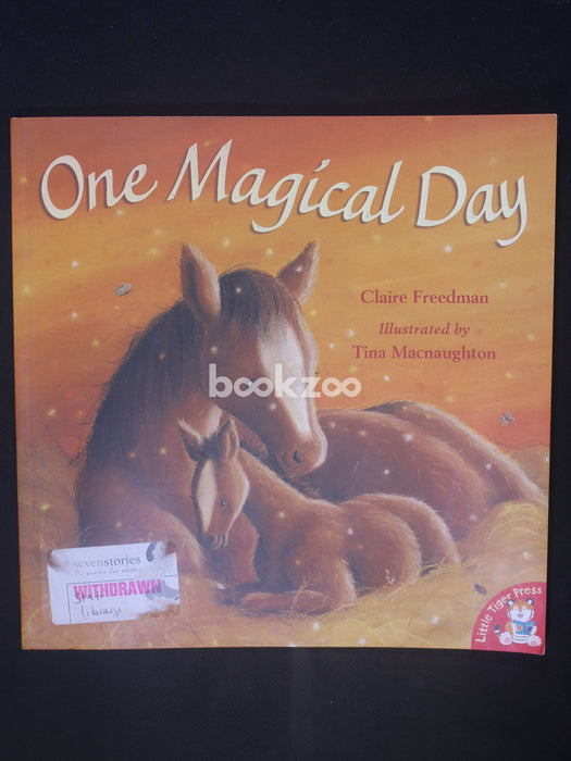 One Magical Day