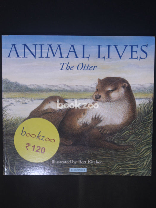 The Otter (Animal Lives)