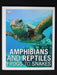 Amphibians and Reptiles : Frogs To Snakes
